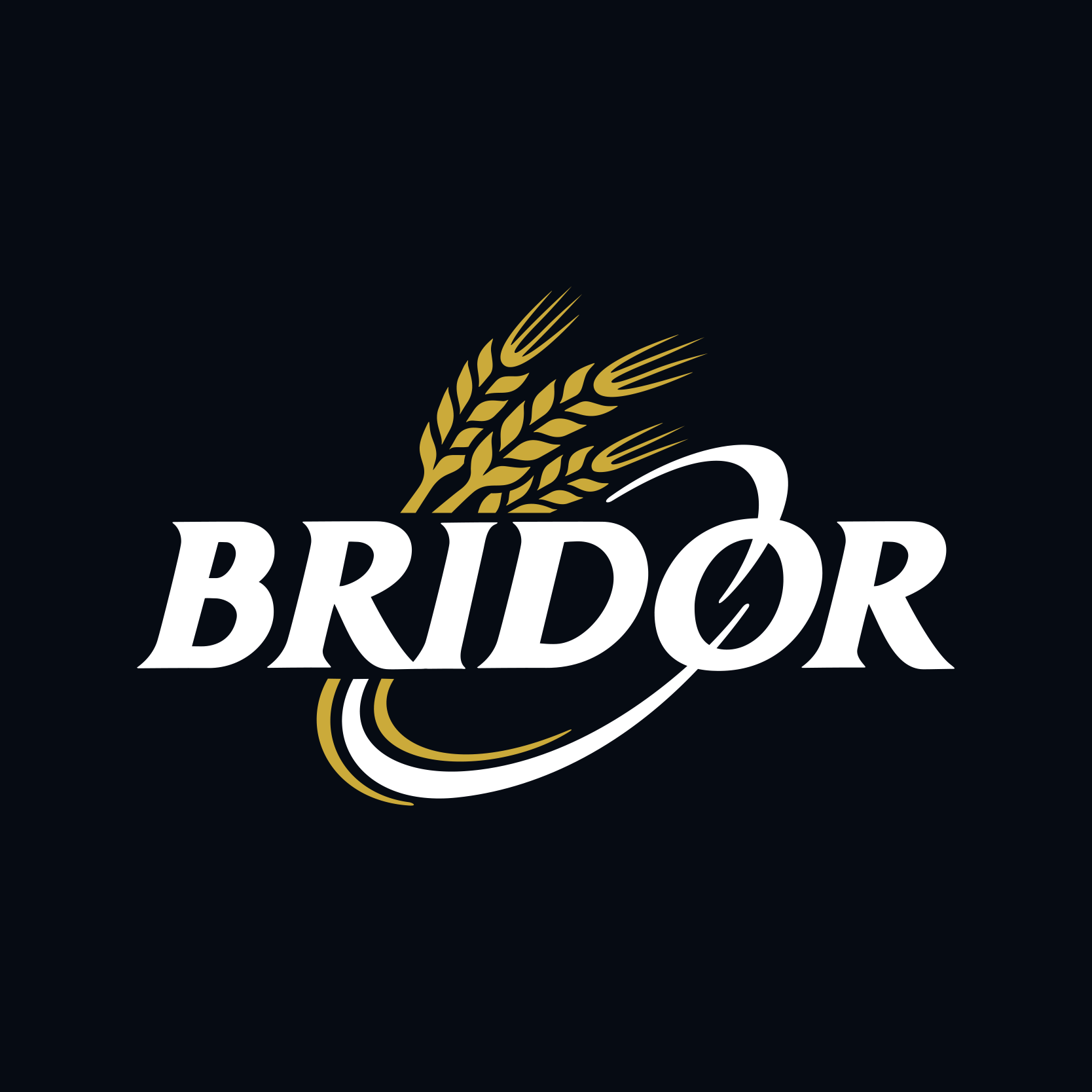 Logo Bridor RVB 002