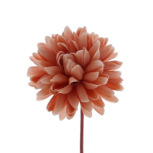 X12PC DAHLIA SALMON