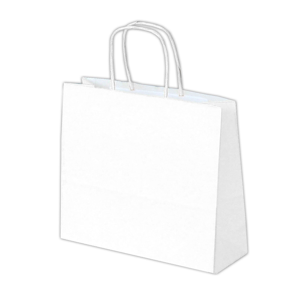 X50PC.SAC KRAFT BLANC XS    24X21_