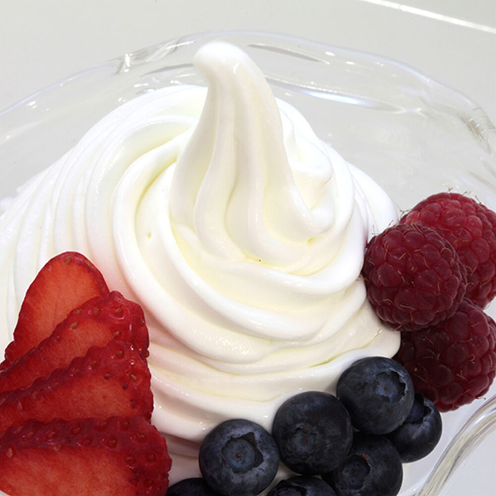 X1,6KG BASE JOYSOFT FROZEN YOGURTOP JOYGELATO