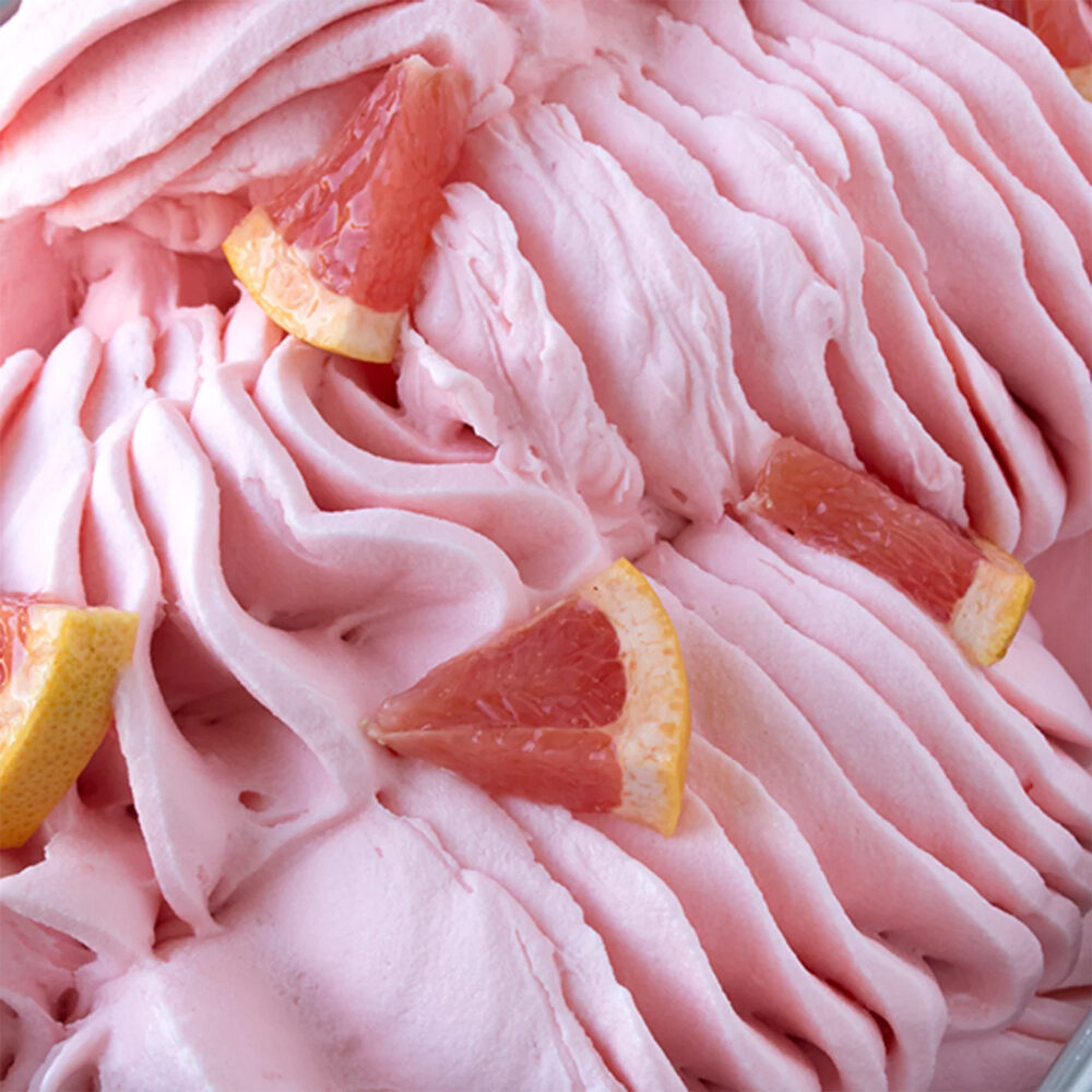 X1,25KG SPEEDY JOYQUICK POMPELMO ROSA (PAMPL.ROSE) JOYGELATO