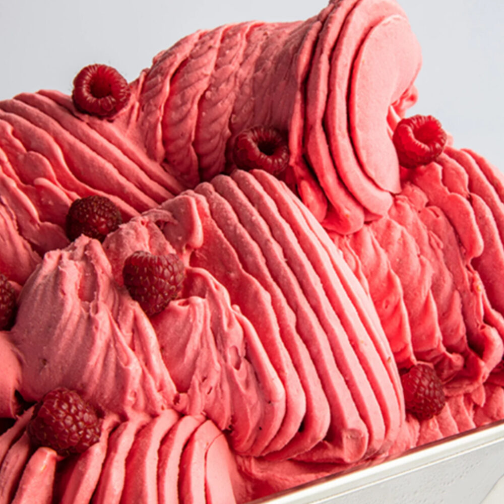 X1,2KG PASTA JOYPASTE LAMPONE (RASPBERRY) JOYGELATO IRCA