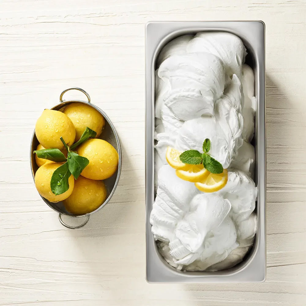 X1,25KG SPEEDY JOYQUICK LIMONE JOYGELATO