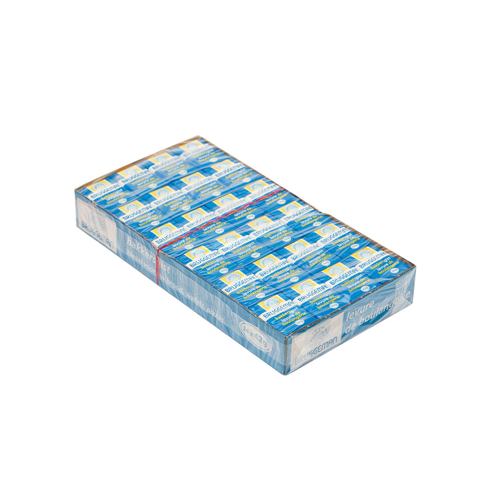 C/2X12X42GR VERSE GIST BRUGGEMAN