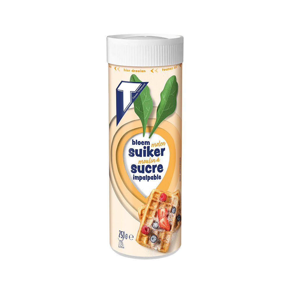 X 10X250GR ICING SUGAR MOLEN