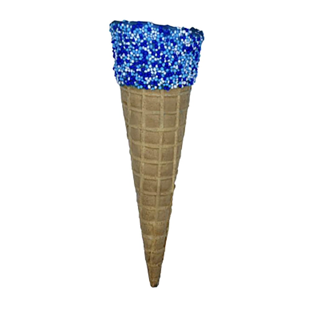 140xCORNET ROMA BLEU