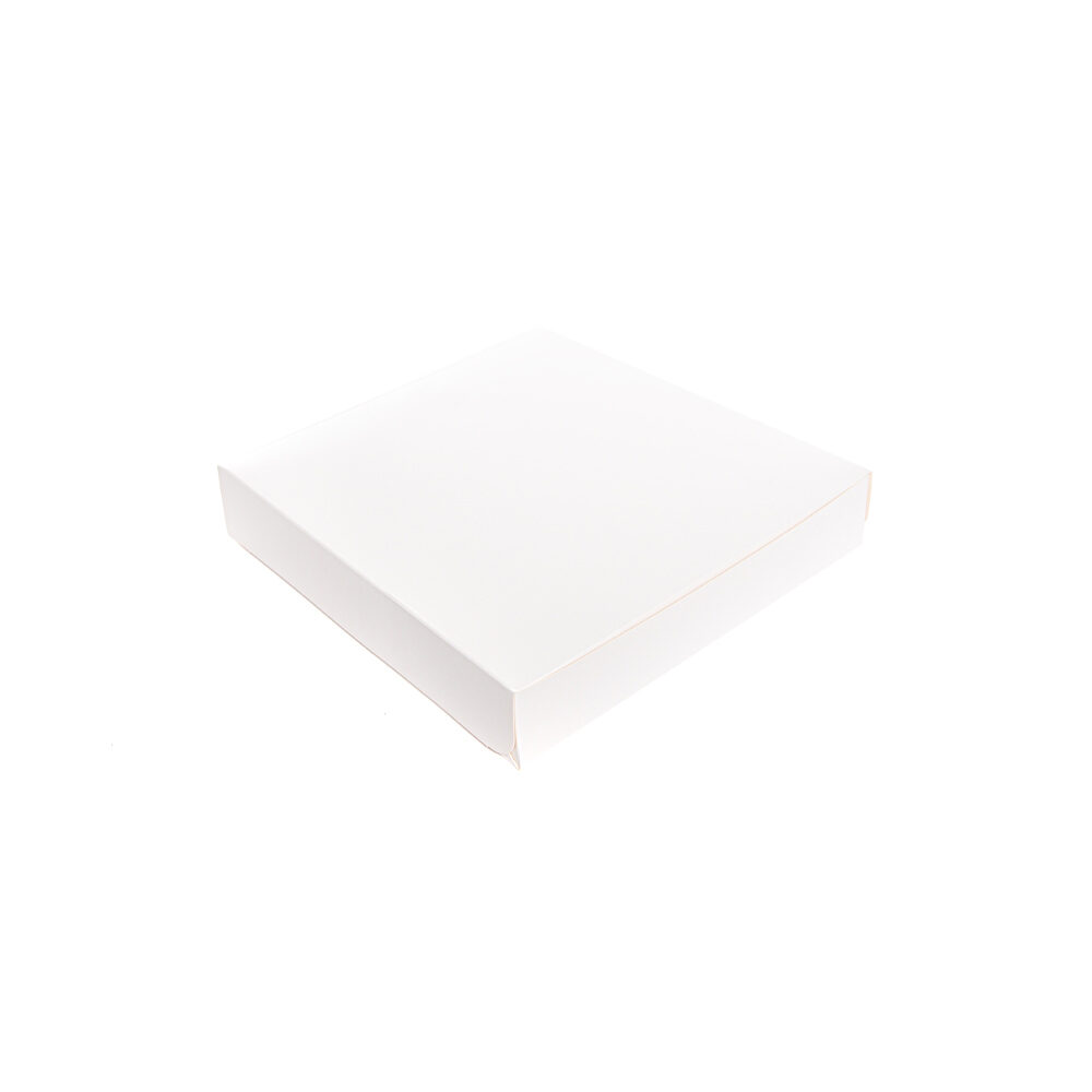 X100 BOXES WHITE 27/5