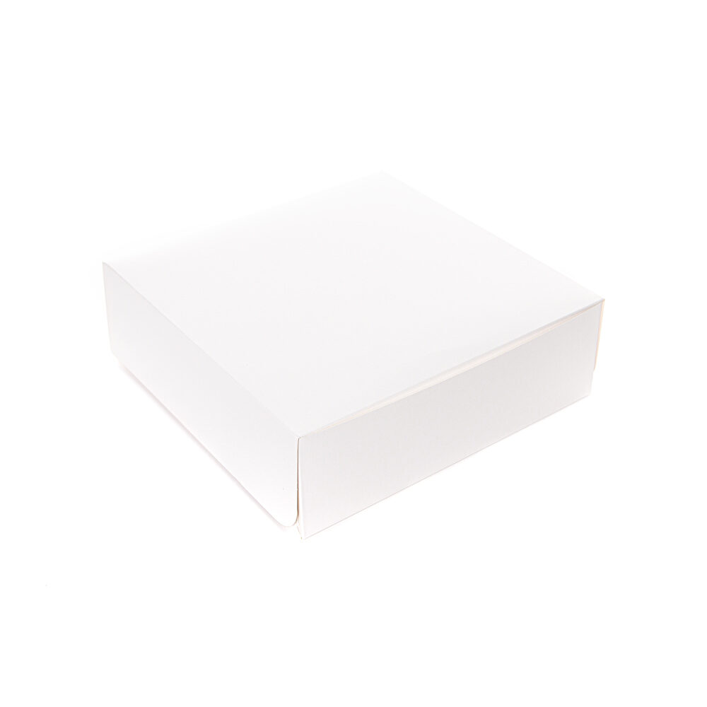X100 BOXES WHITE 32/10
