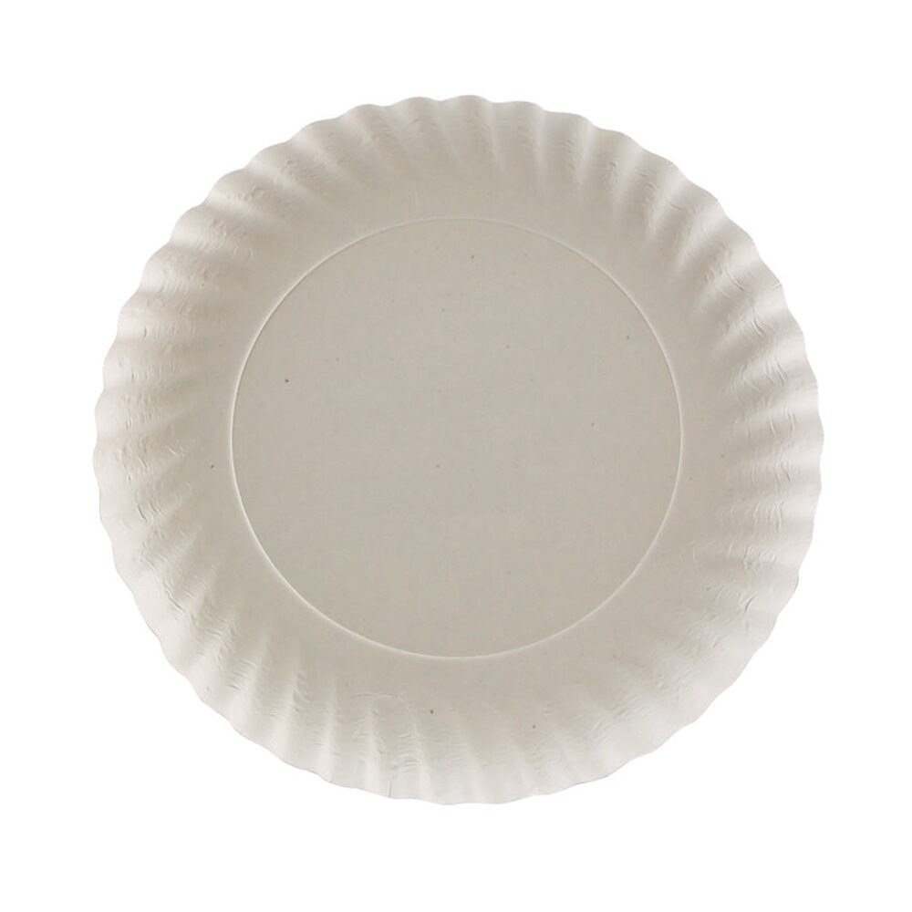X250 PC. DISH      17 CM