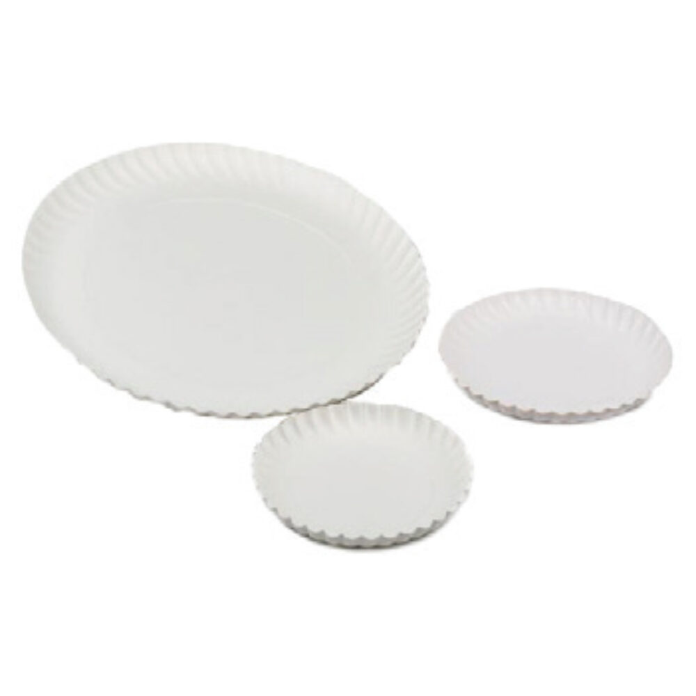 X250 PC. PLATES    24 CM