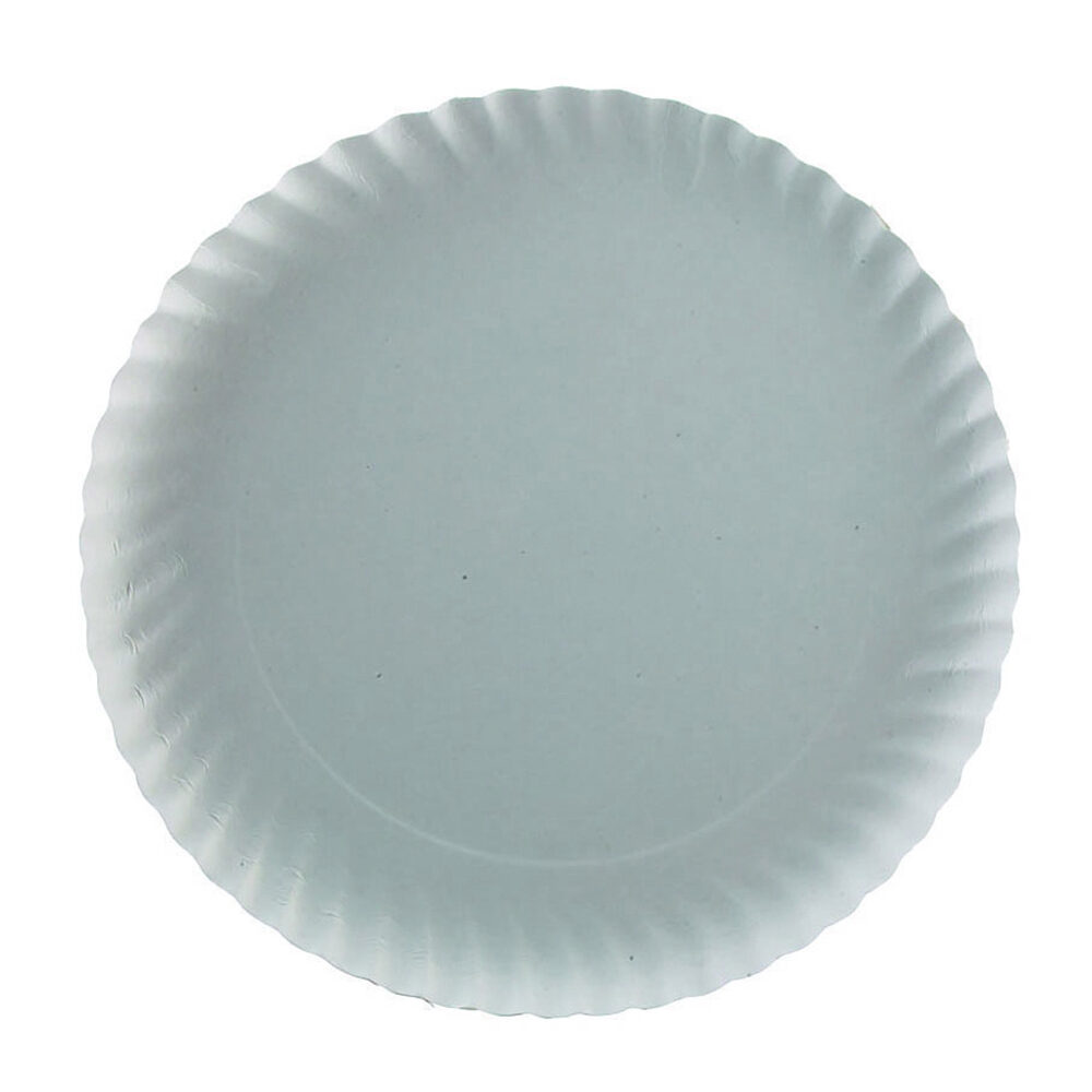 X250 PC. PLATES    30 CM