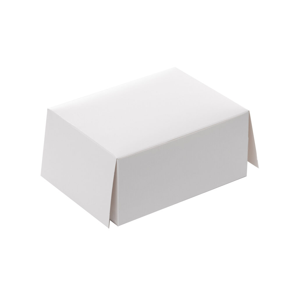 X100ST PATISSERIE DOOS WIT VERNIS RH 30X16X8CM