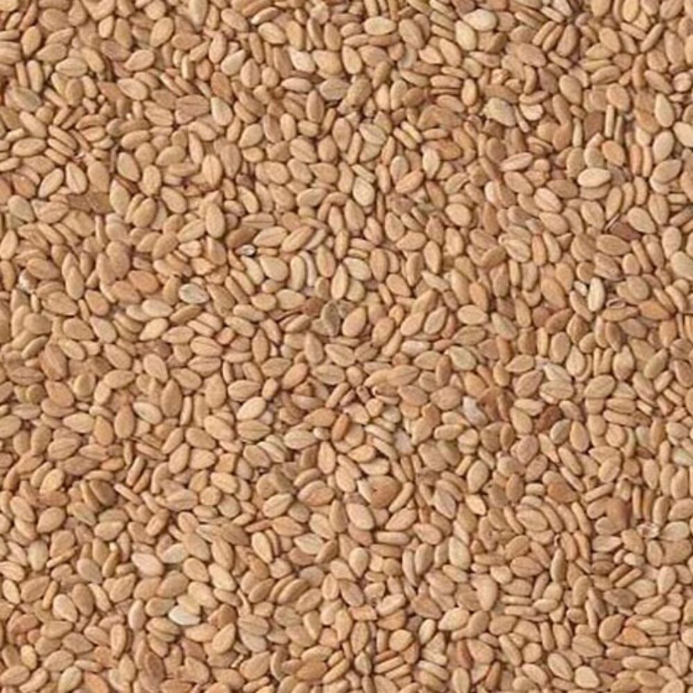 X25KG SESAME SEED NATURAL