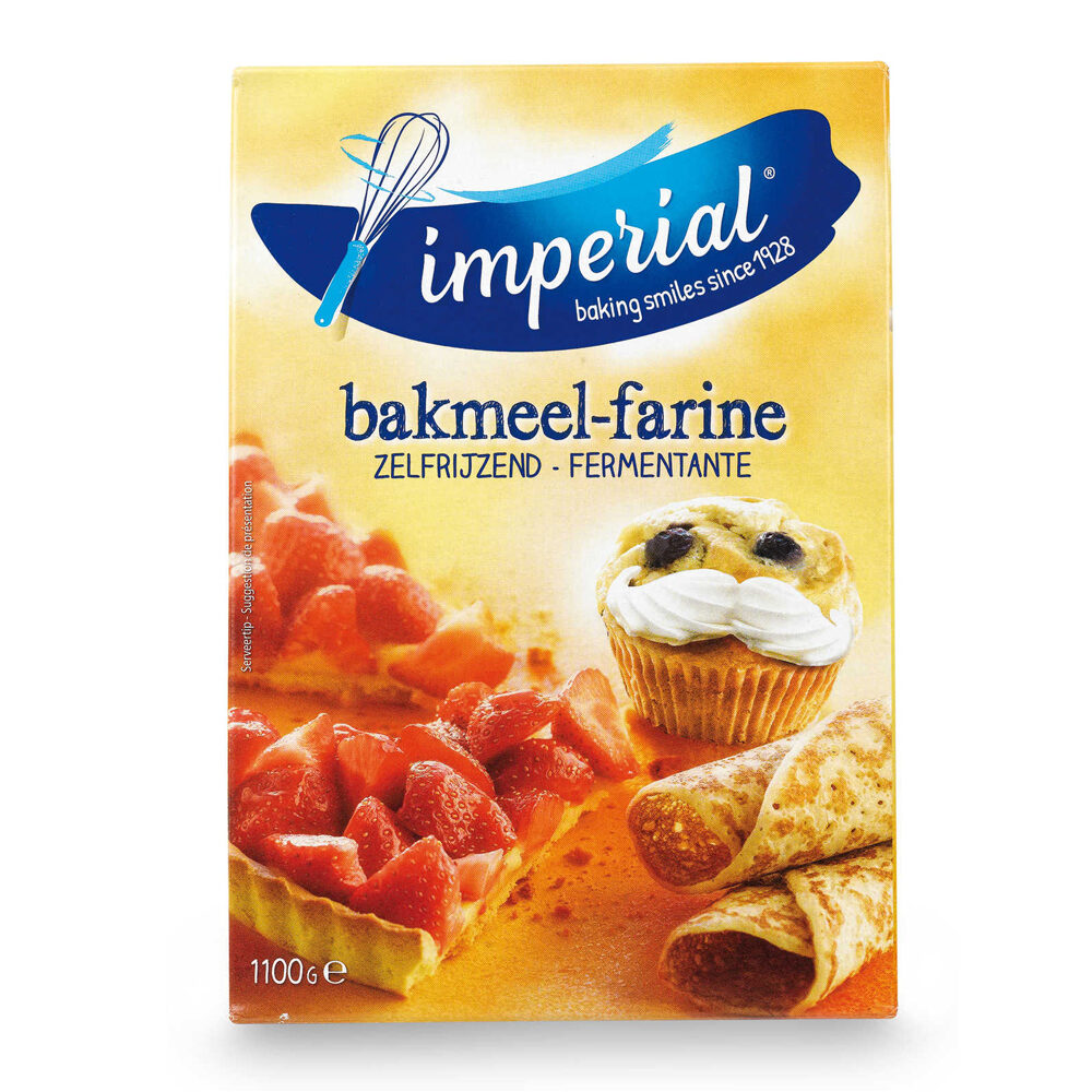 C/6X1.1 KG FARINE FERMENTANTE