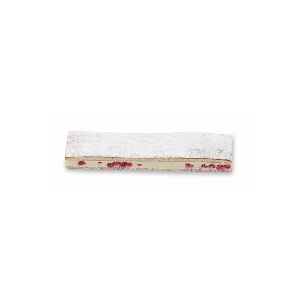 ST.AMANDELBISCUIT FRAMB. B252 VAMIX
