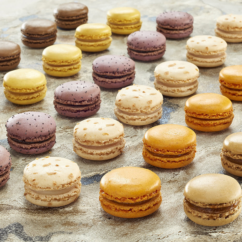 C/36PC MACARONS FILLED GOURMAND