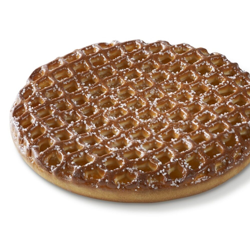 6x TARTE AUX ABRICOTS AVEC GRILLE 27CM