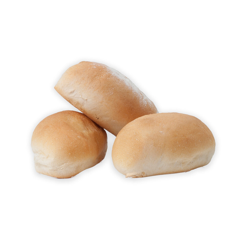 C/10X20ST PISTOLETS WIT ROND 55GR VM