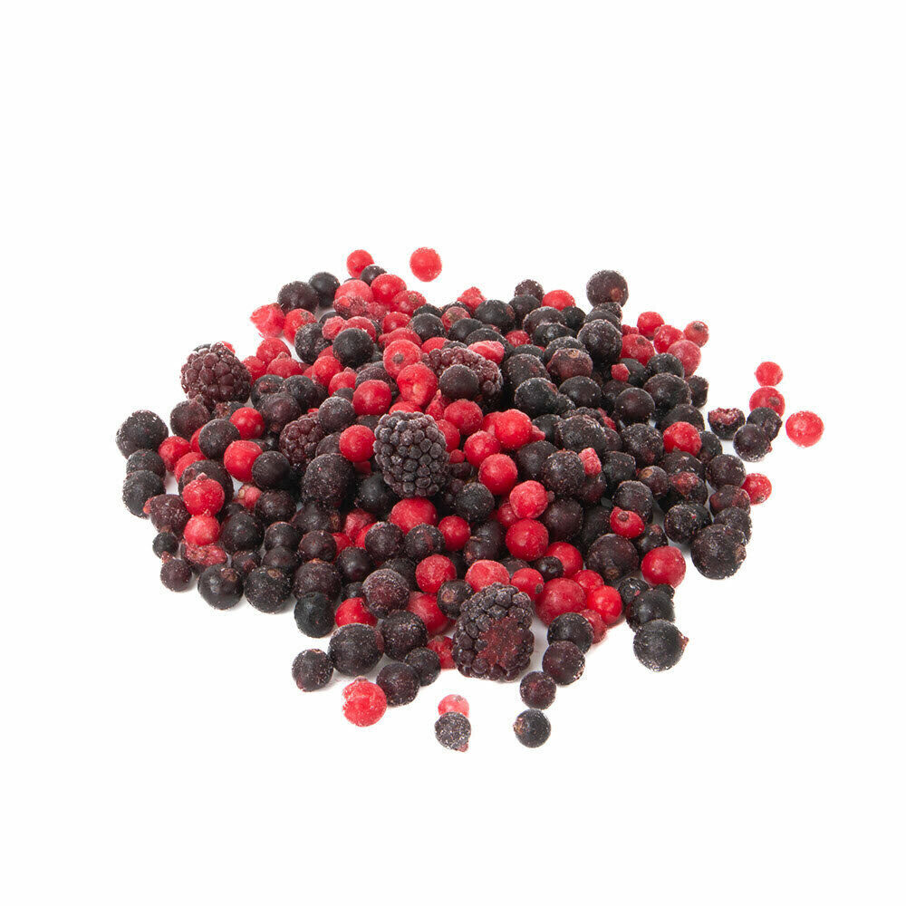 X 2,5KG FOREST MIX FRUITS IQF (5 Mix)- FRUCT-SUN