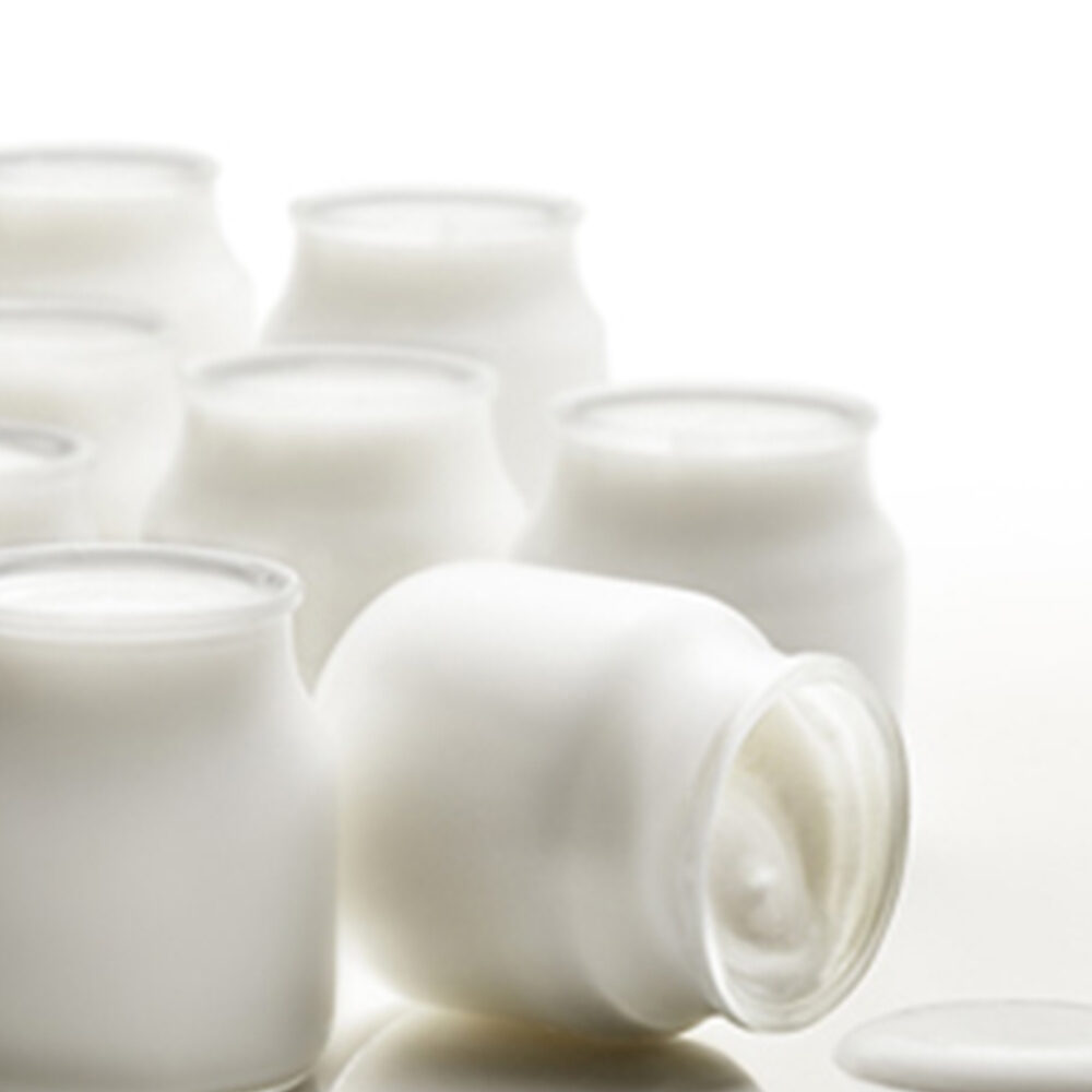 X1,2KG YOGURT WORLD 30 (YOGHURTPOEDER) FUGAR