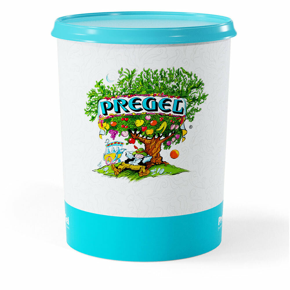 X6KG VANILLE CLASSICA BOURBON PREGEL