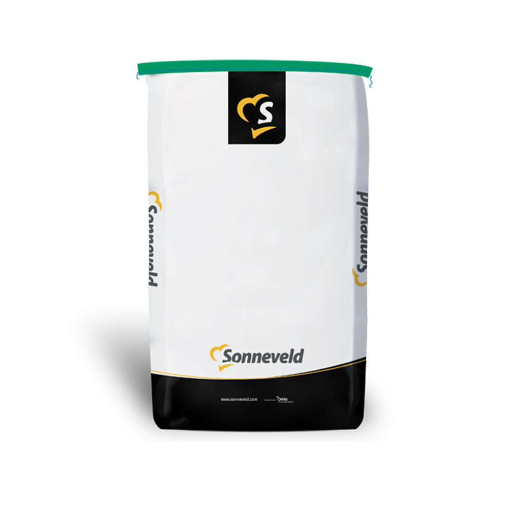 X20KG AMÉLIORANT DE PROCESSUS ROMA GRAND PAIN SONNEVELD