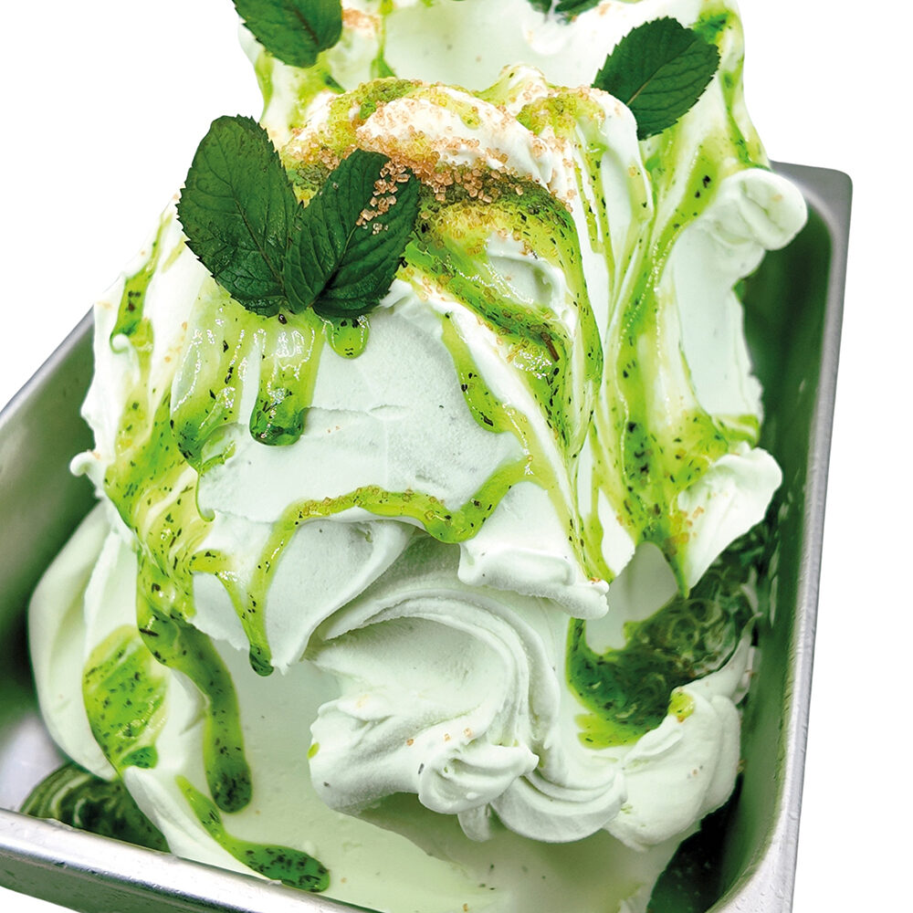 3KG VARIEGATO & PASTA MOJITO DUE