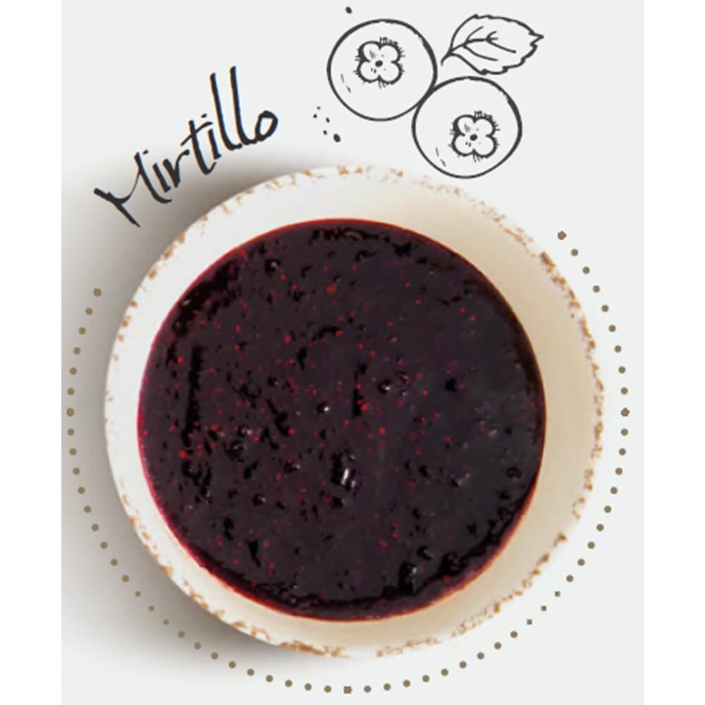 X3,5KG FRUTTA IN CREMA MIRTILLO (MYRTILLES) CESARIN