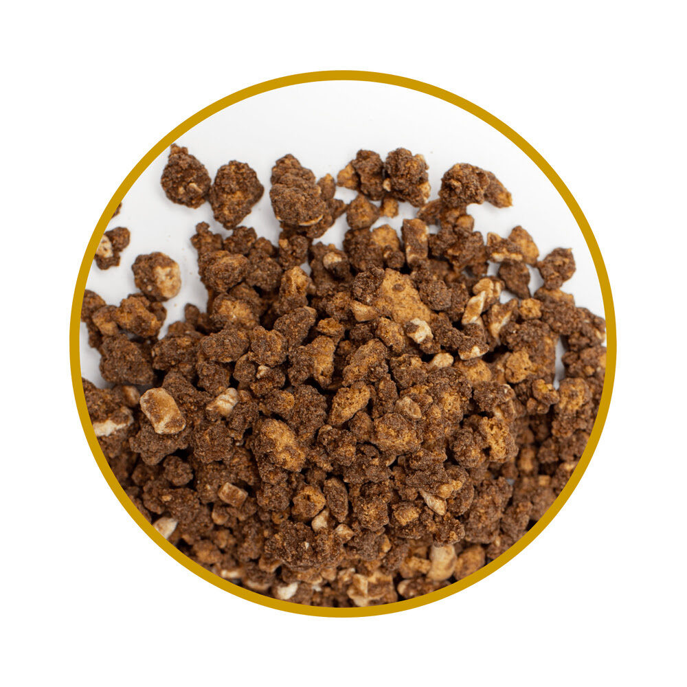 X1250G GINGERBREAD HAZELNUT CRUNCH - JORDA