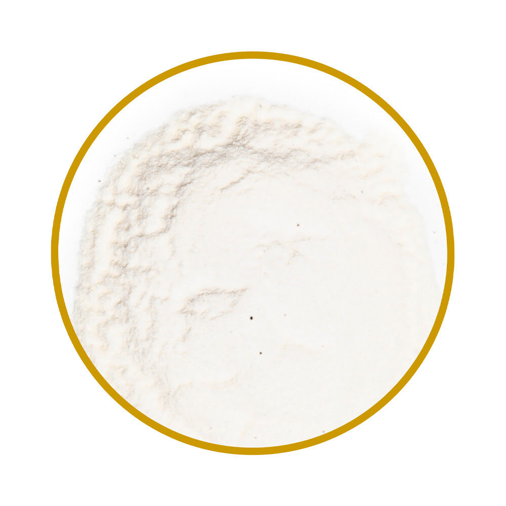 X800G POUDRE DE YAOURT ACIDE - JORDA