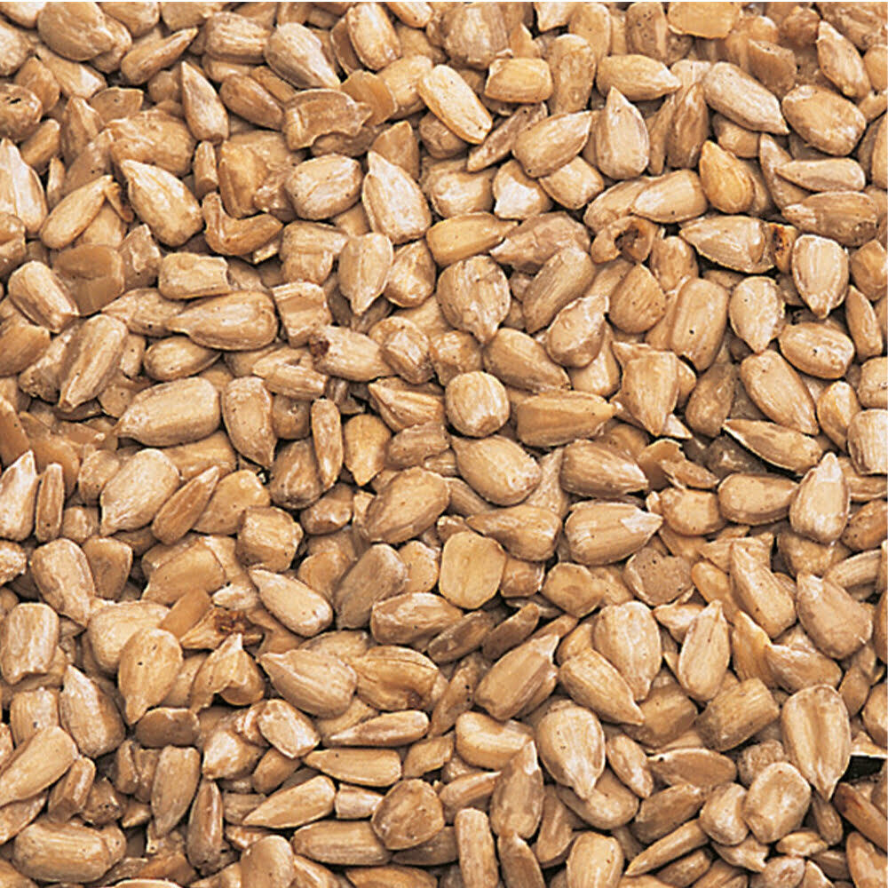 X5KG GRAINES TOURNESOL KOMP