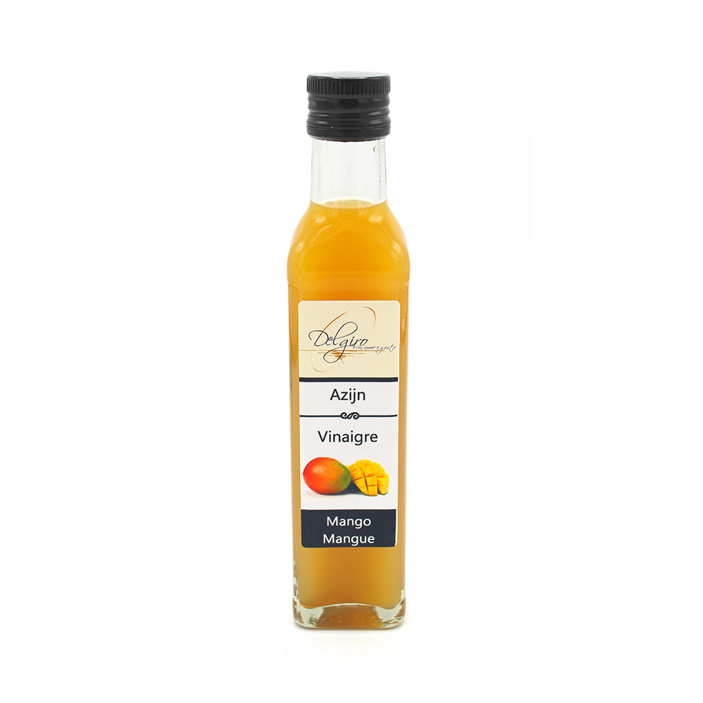 X250ML MANGUE DE VINAIGRE