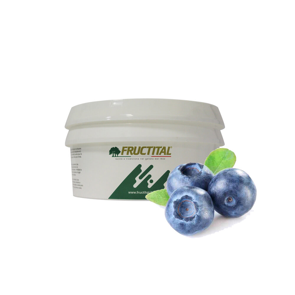 X2KG PASTA MIRTILLO (MYRTILLE) FRUCTITAL