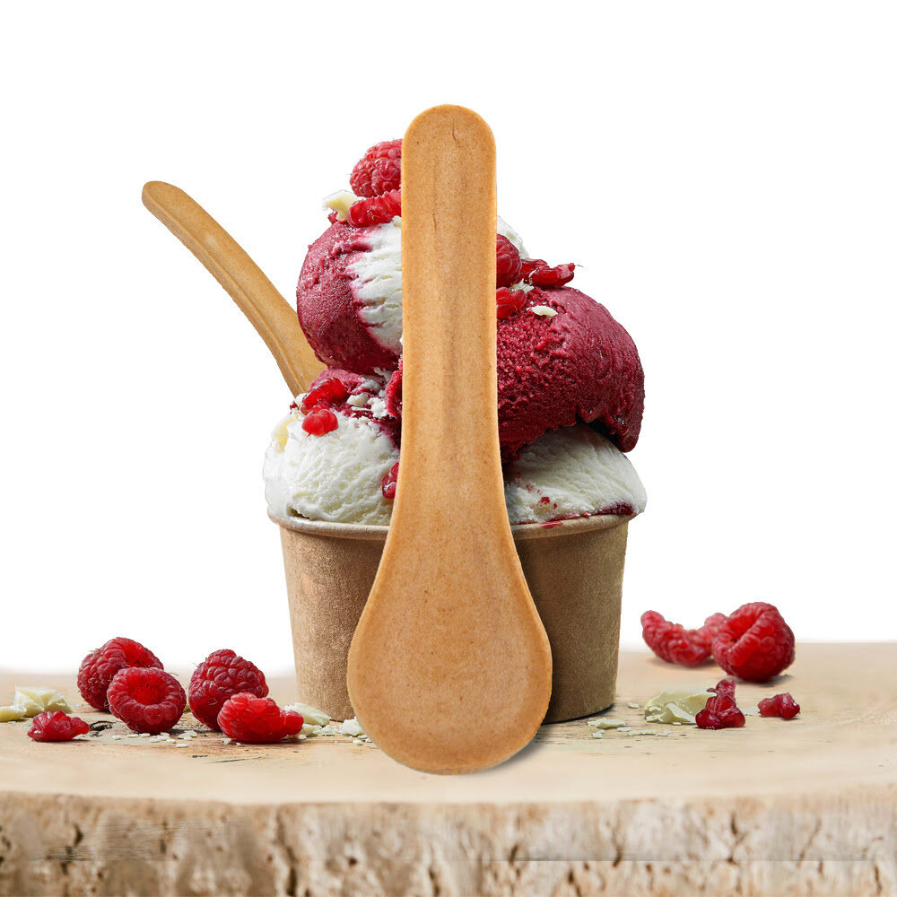 C/200ST ICE SPOON EDIBLE CUILLETTE ECOPOON