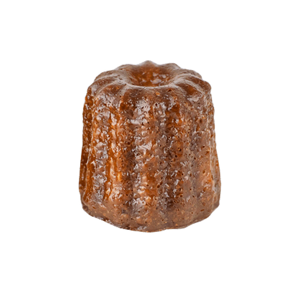 C/200ST CANELES DE BORDEAUX MINI BOUCHEE 17G