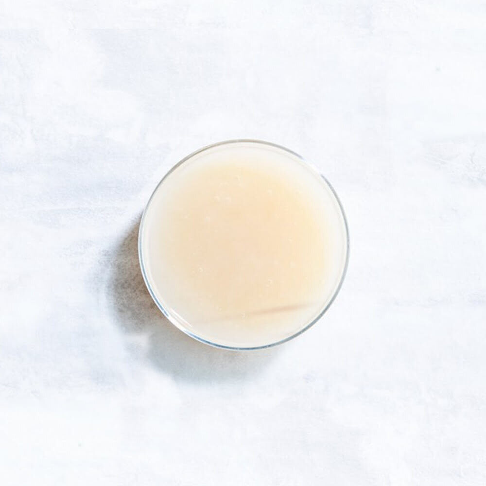 X20KG CACAOFRUIT JUICE CABOSSE NATURALS