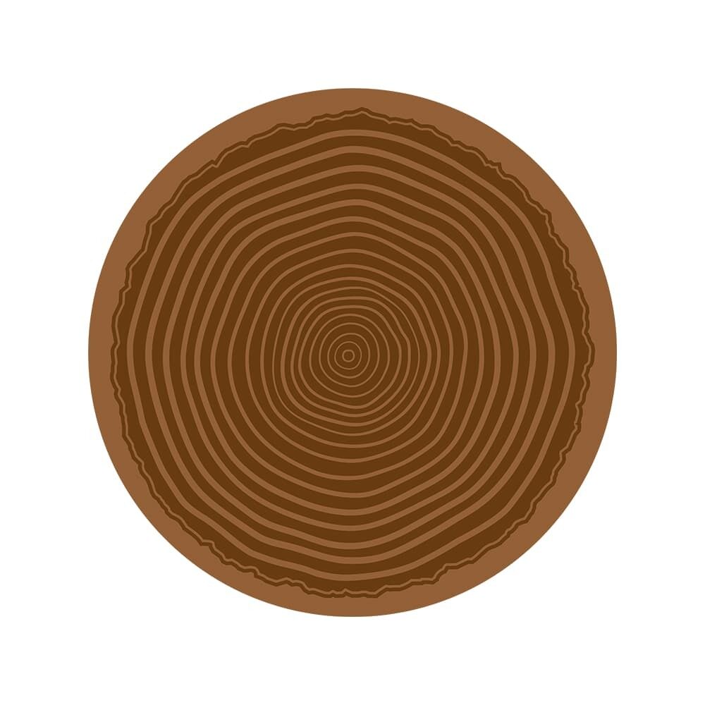 X24PC MOTIF ARBRE ROND 80MM CHOCOLAT AU LAIT