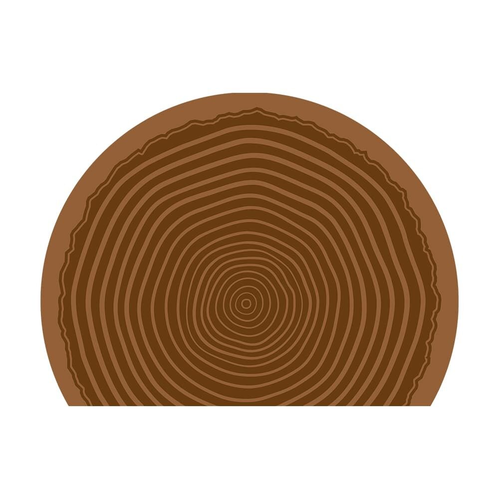 X24ST MOTIF ARBRE CHOCOLAT DEMI-ROND 80MM CHOCOLAT AU LAIT