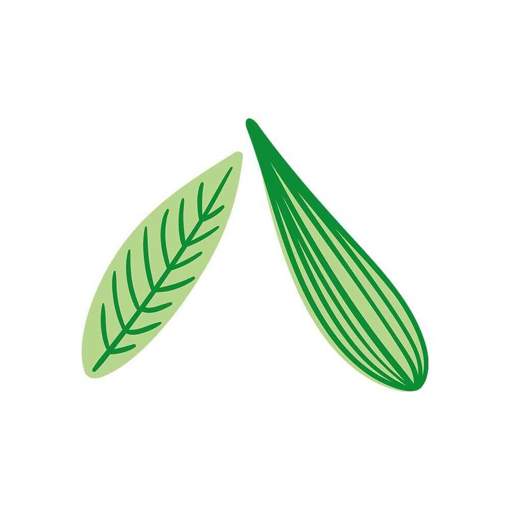 X384P ASSORTIMENT DE FEUILLES CHOCOLAT BLANC 2 COULEURS VERT