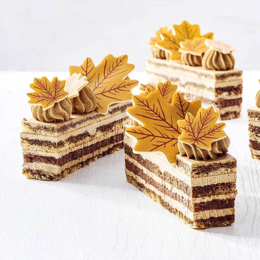 X172ST CHOCOLADE BLAD 30X25MM 2KL WITTE CHOCOLADE