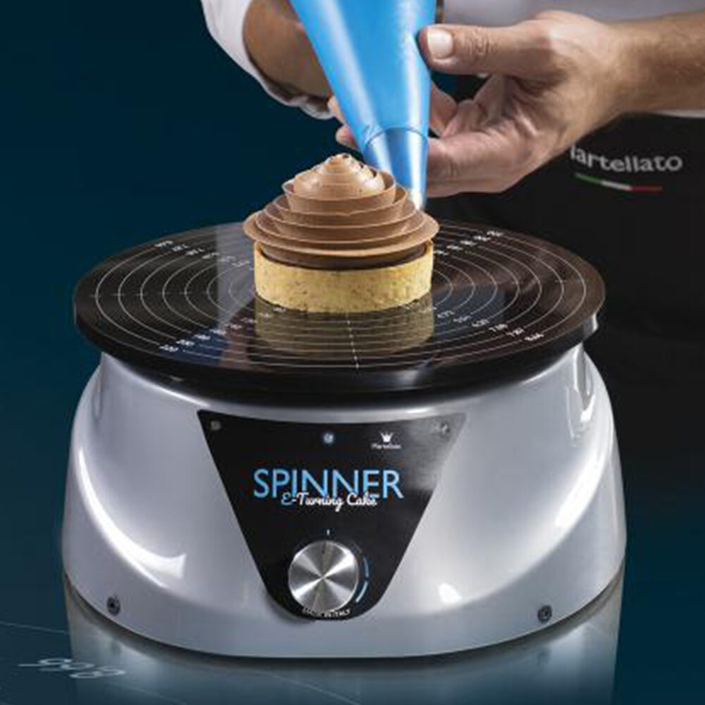 XSPINNER - ELECTRIC SWING DISC  D.24 220V