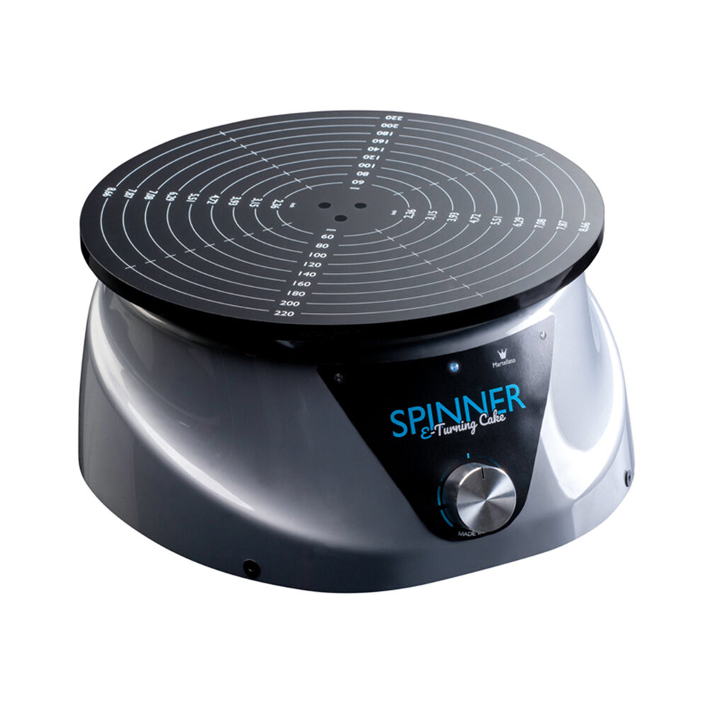 XSPINNER - ELECTRIC SWING DISC  D.24 220V