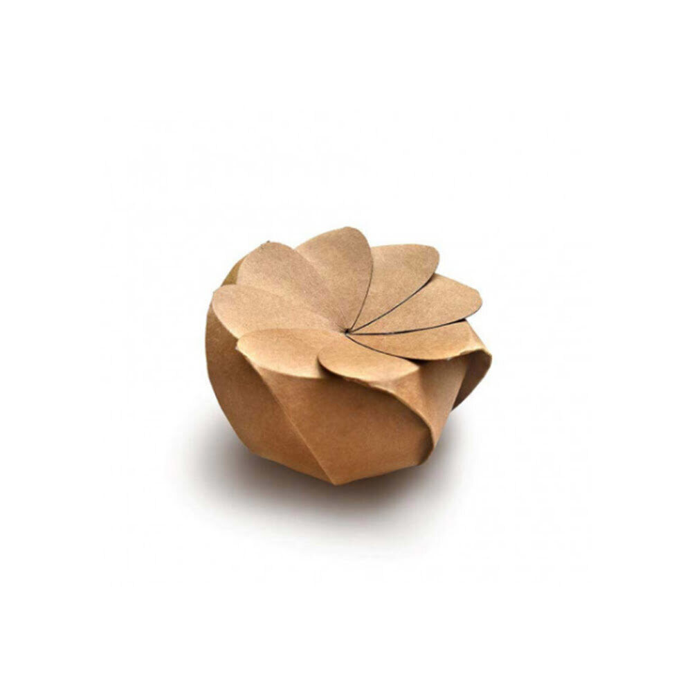 X100PC KRAFT MAGNOLIA BLOOM 33CL
