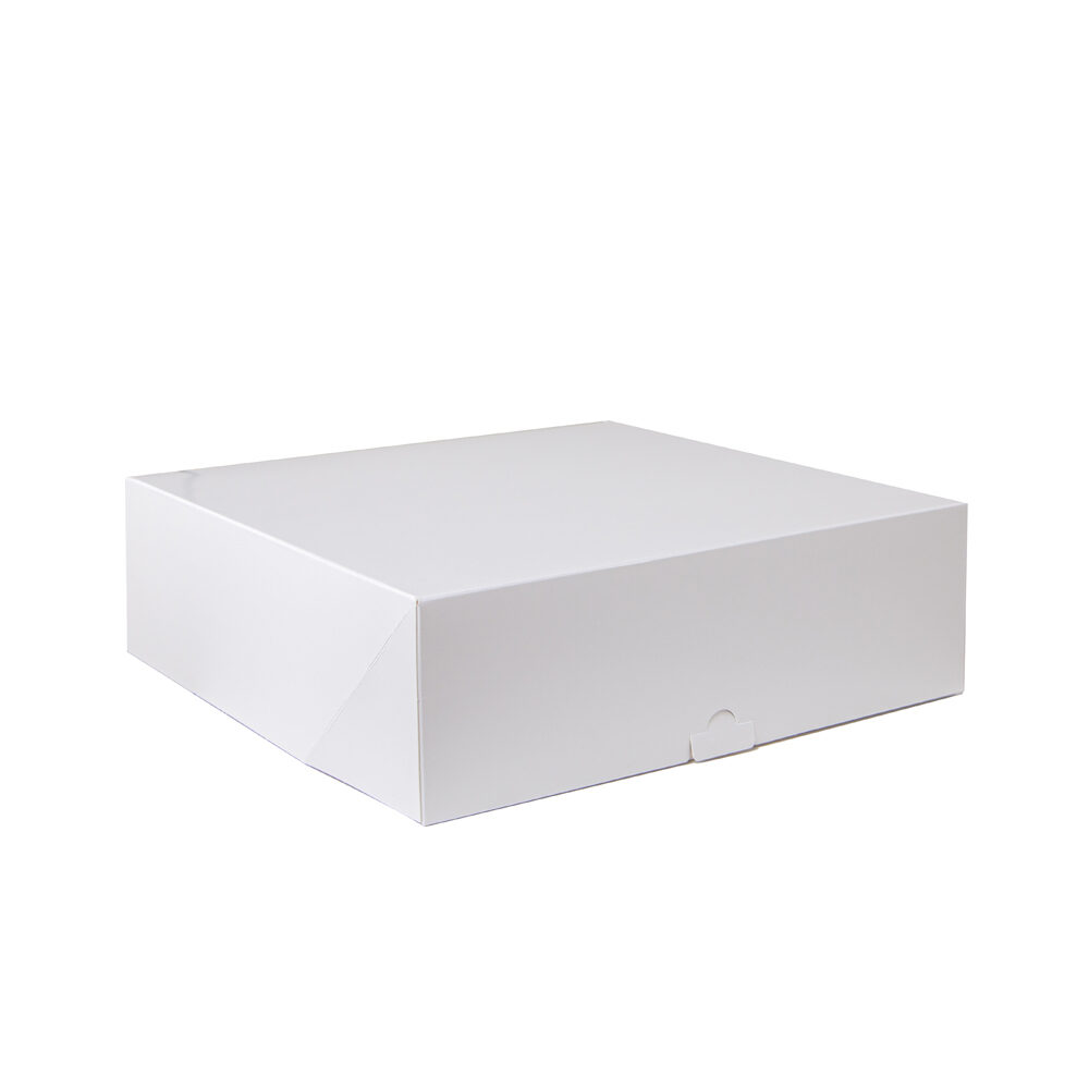 X100PC RANBOX  24/11 WHITE