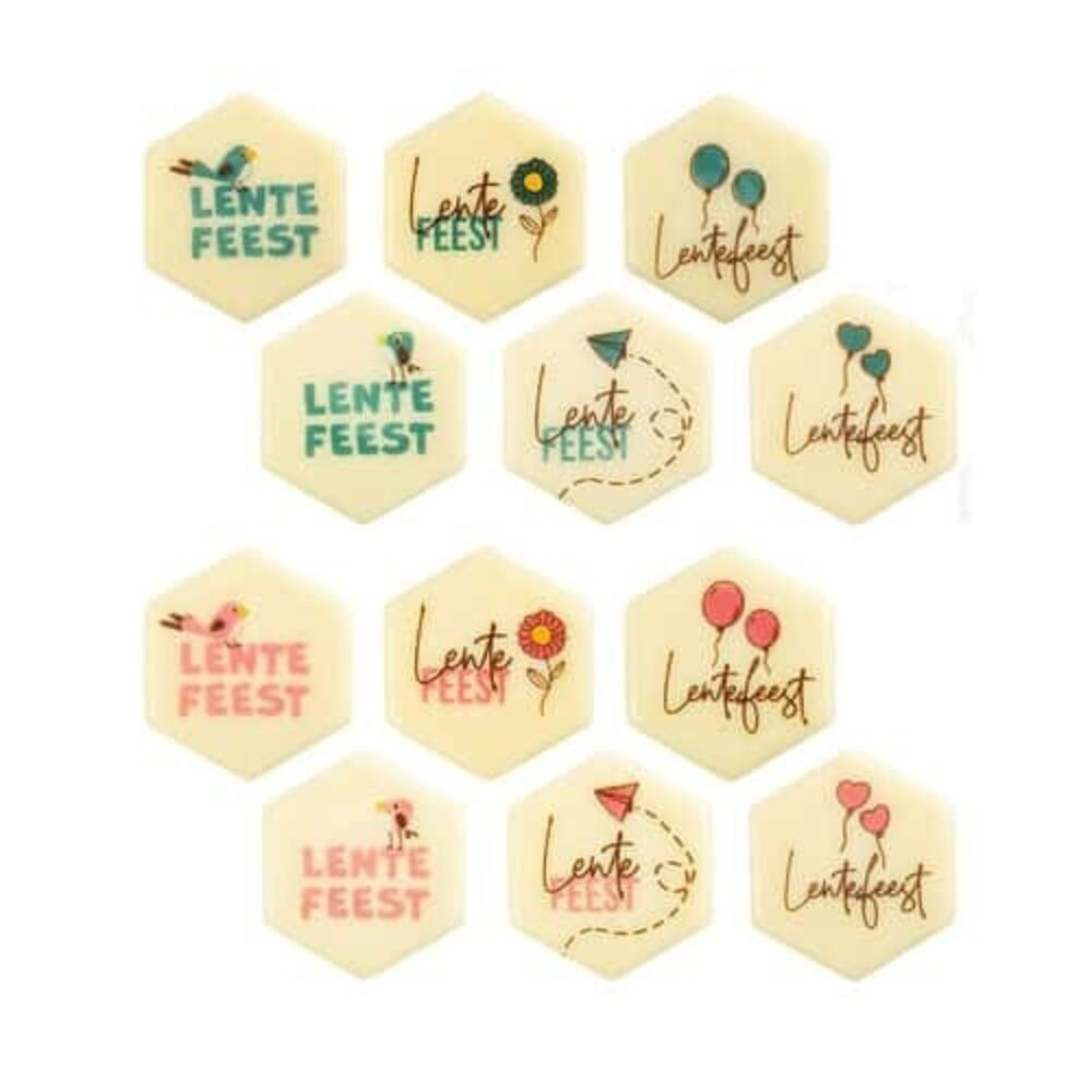 X96ST ASS. PLAATJE LENTEFEEST D.3.8CM CHOCOLADE 12813