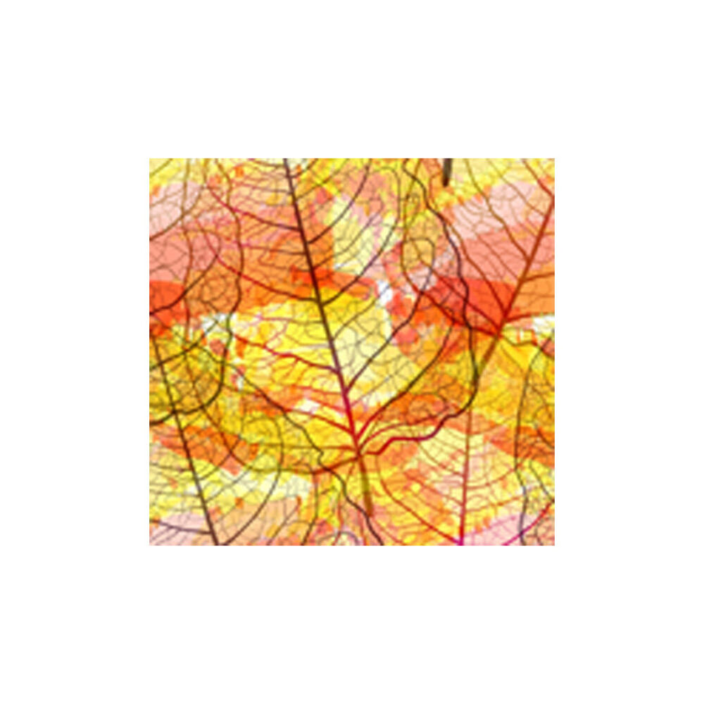 X132PC PLATE AUTUMN COLORS 3X3CM CHOCOLATE 14745