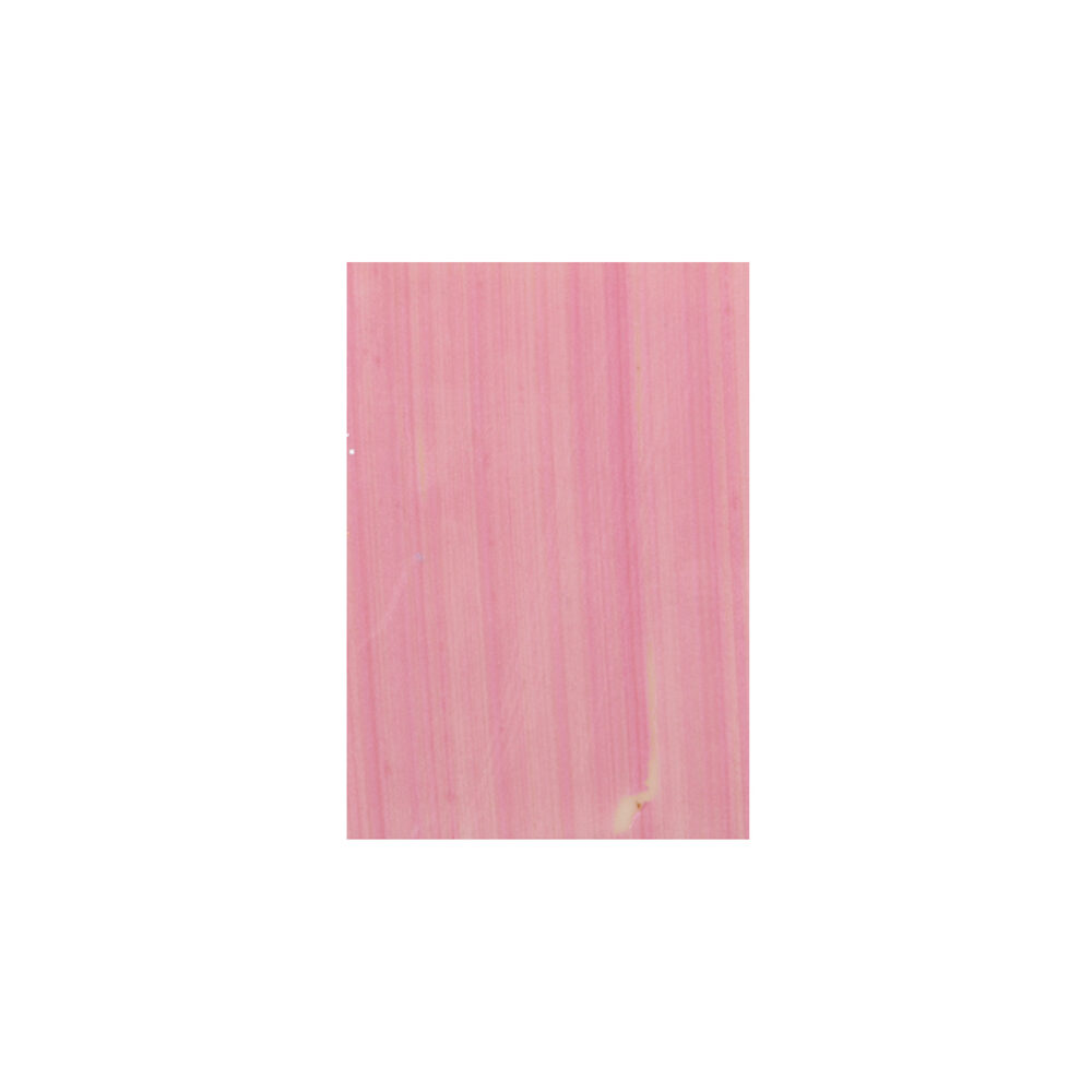 C/315 PC. CHOC.PLAQUET.ROSE 32507%