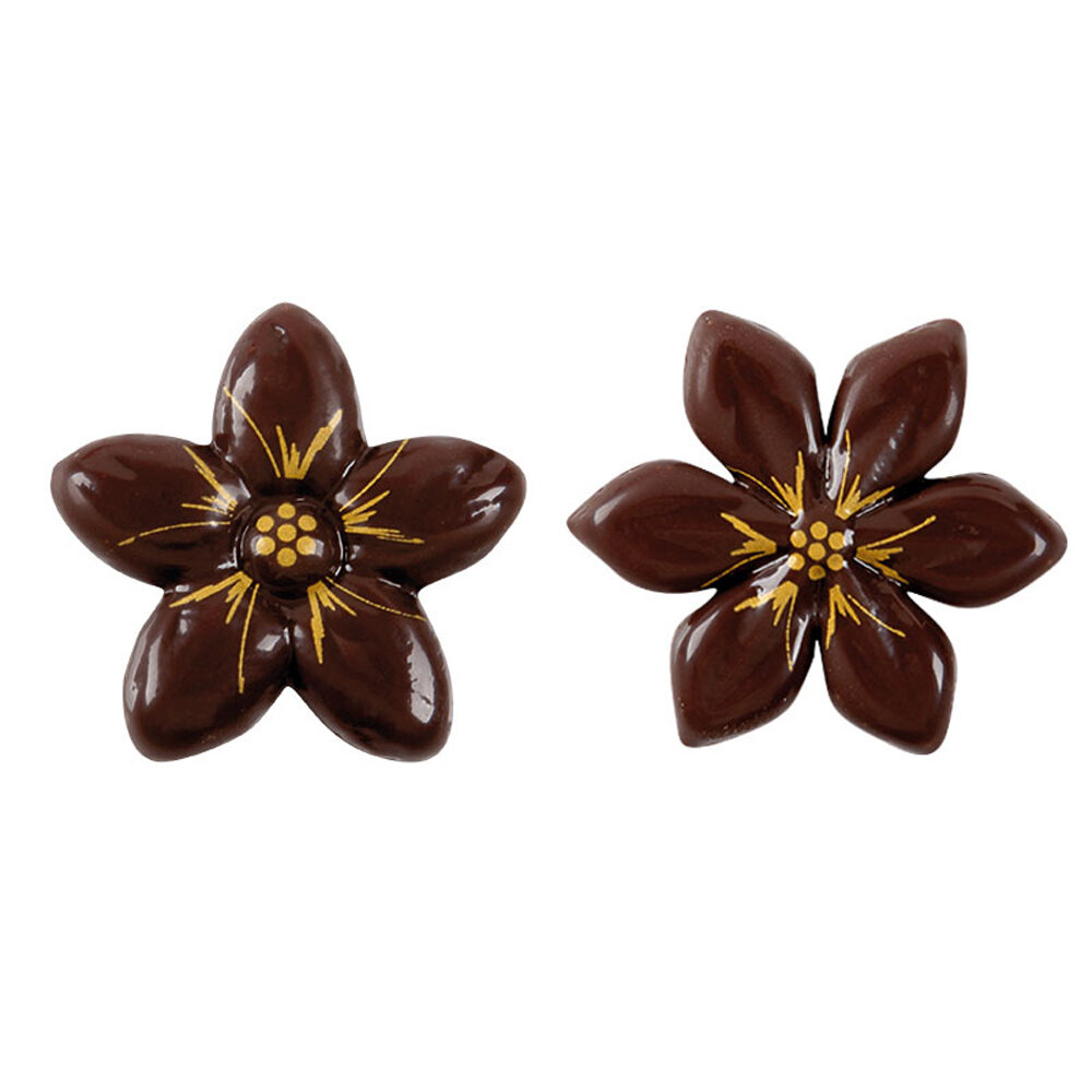 C/175PC.FLEUR EN ETOILE     34311%