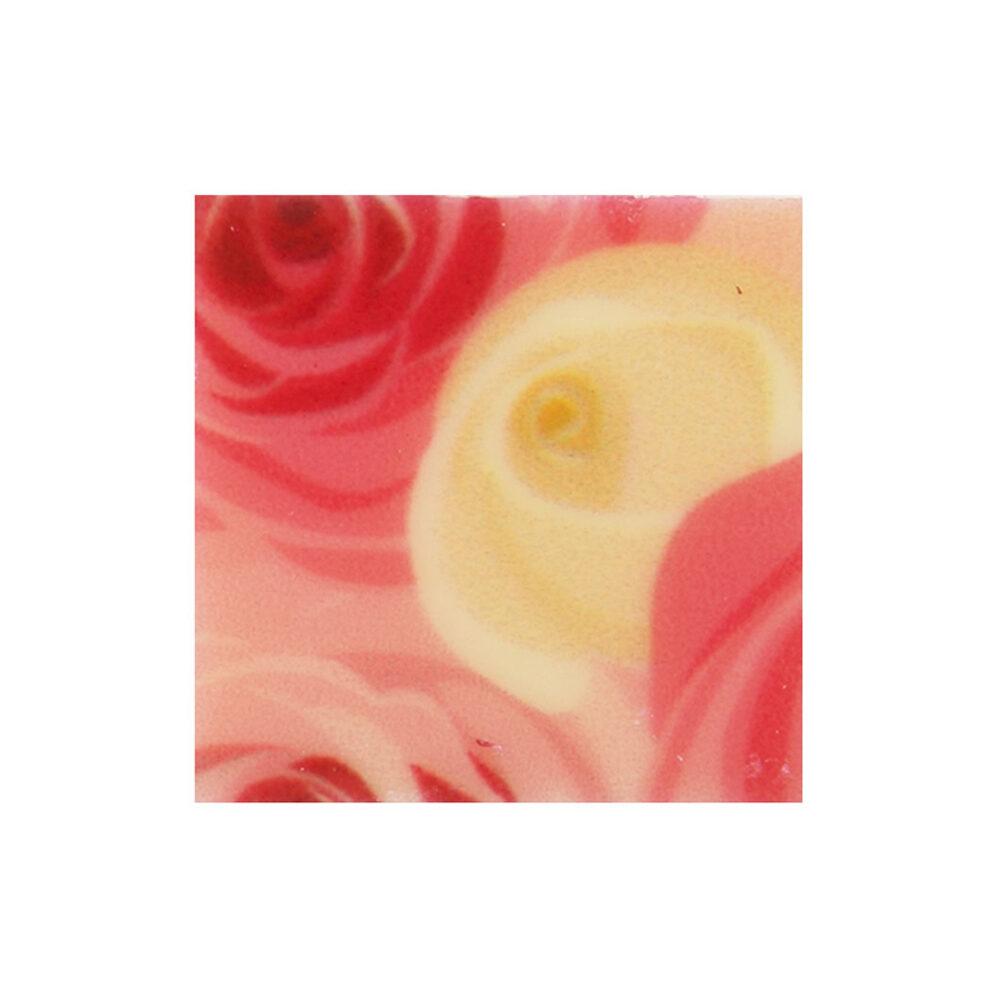 C/216 PC. PLAQ.ROSES /BLANC 35106%