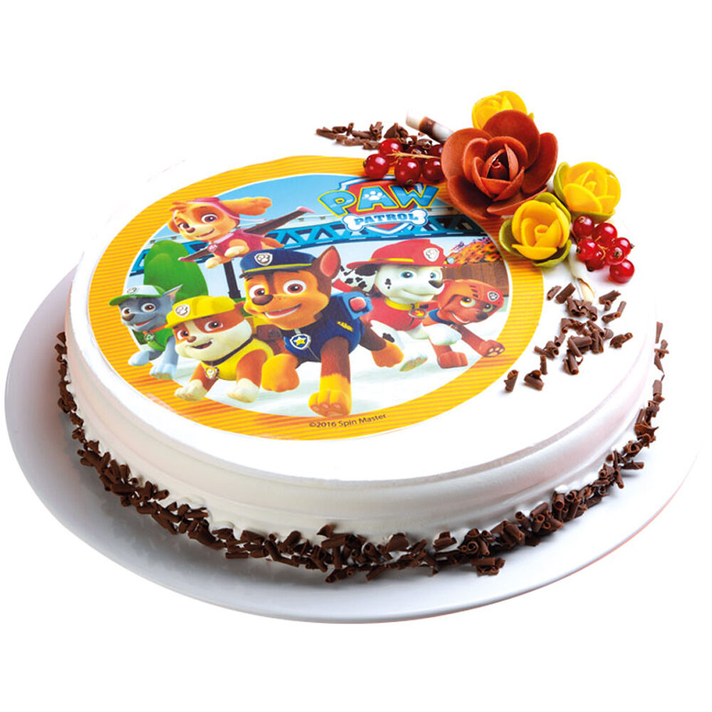 C/12PC DISQUE PAW PATROL 21CM    %